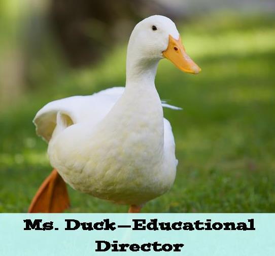 Ms Duck Stephen Gaynor School