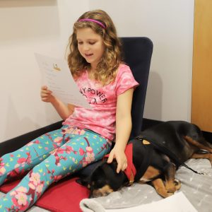 A Red Cluster student reads to Arrow, a therapy dog with the R.E.A.D. program.