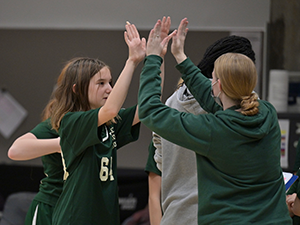 Gaynor volleyball player high-fives her coach