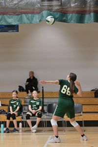 Gaynor volleyball player ready to serve the ball which is already in the air