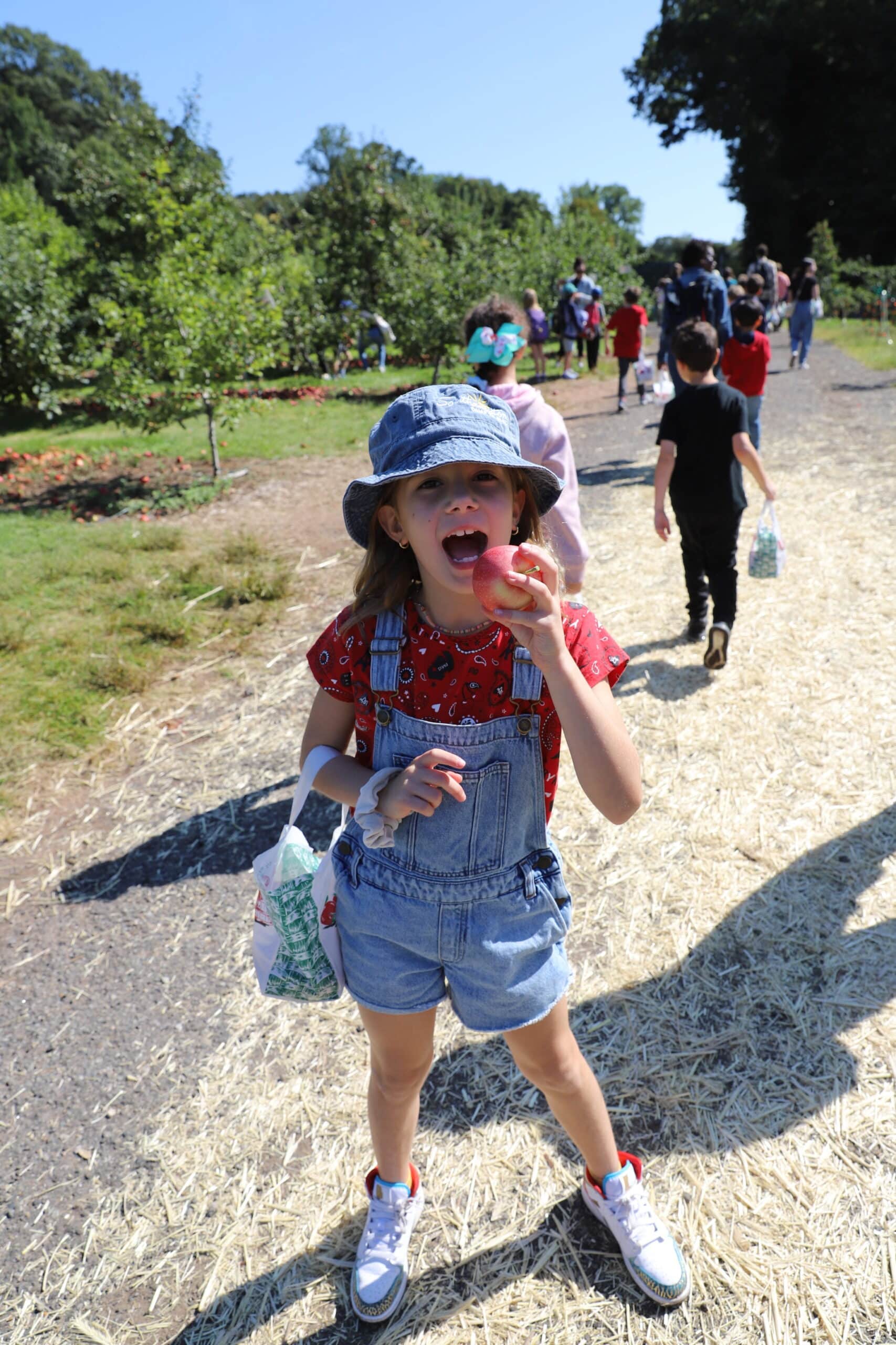 Apple Picking is Back!