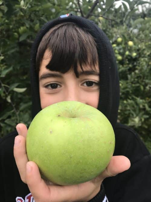 Gators Go Apple Picking